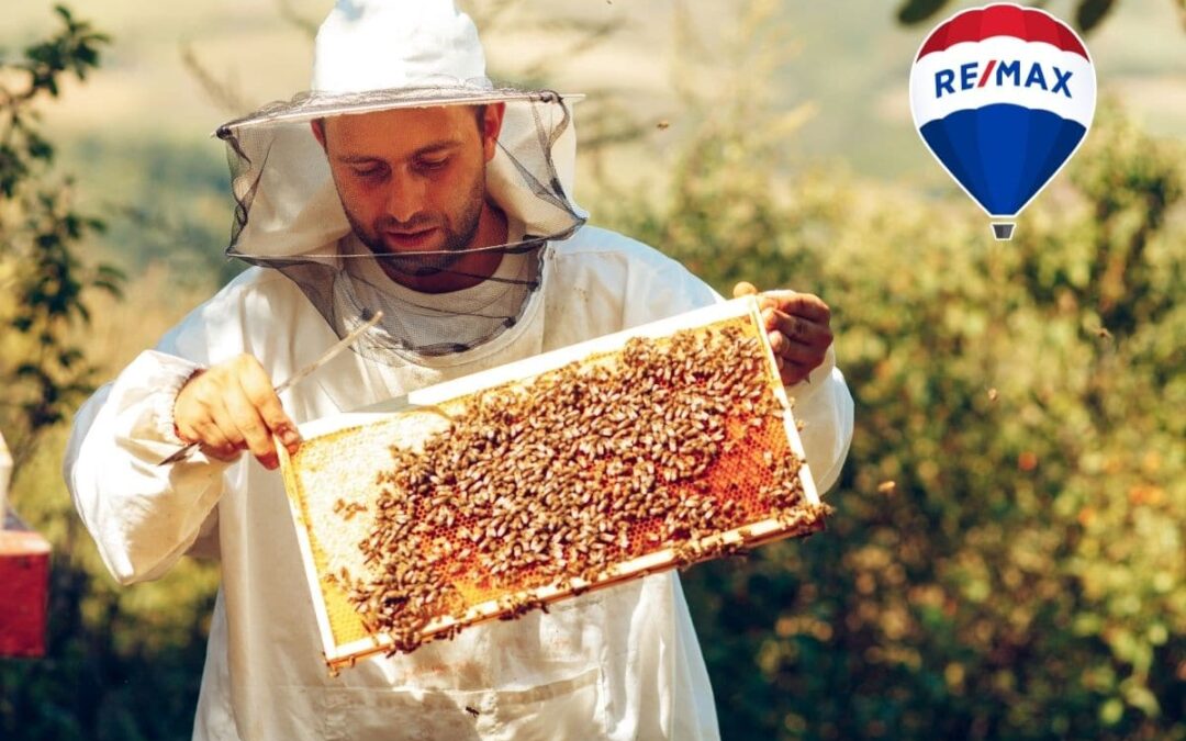 Bienen vor Gericht – Hobby-Imker werden