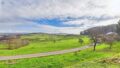 Natur pur! Moderne Neubauwohnung mit Weitblick